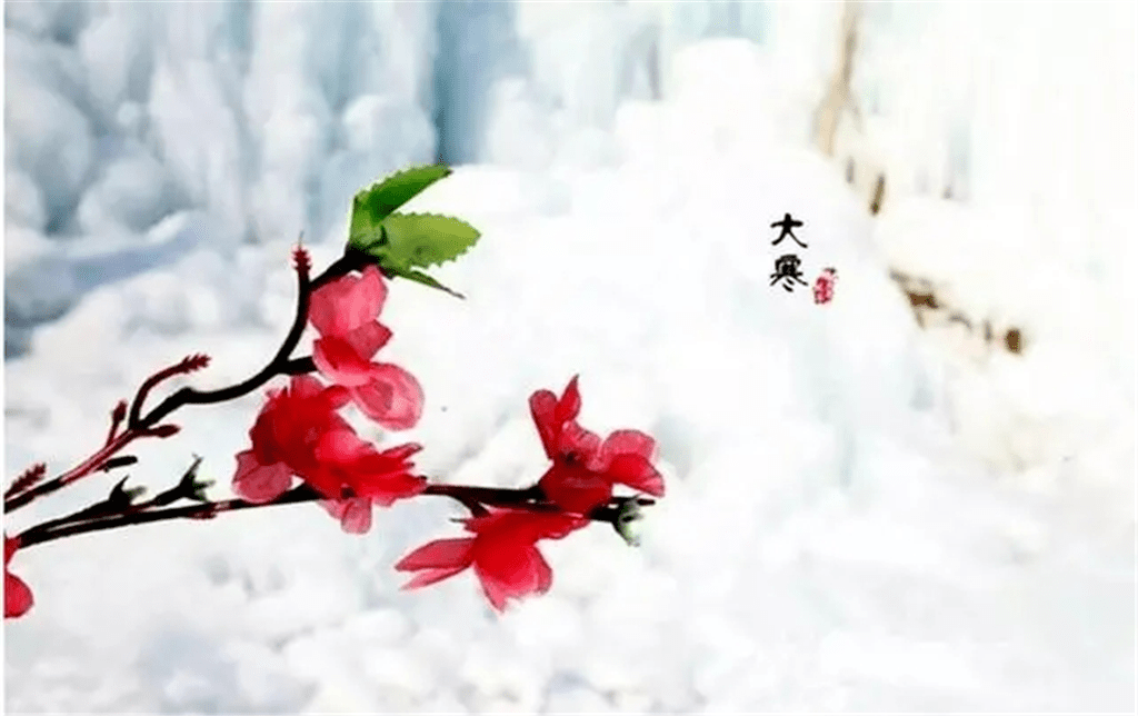 今日大寒 春日可期