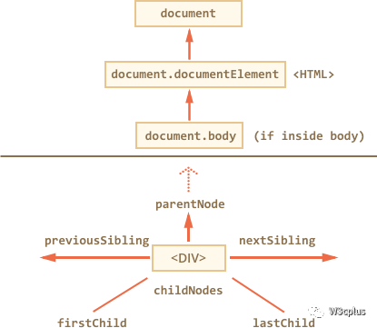 Dom系列 Dom树和遍历dom 开发者头条