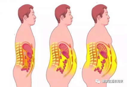 健康减肥方法_减肥健康方法大全_减肥健康方法有哪些