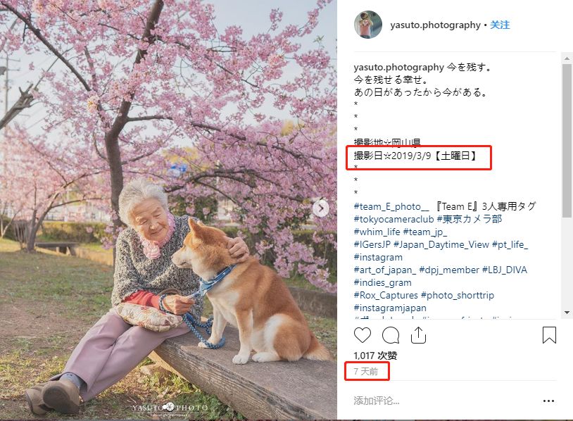 86 歲奶奶和柴犬共度餘生，一張圖片暖哭 34 萬網友，看完瞬間被治愈了… 未分類 第42張