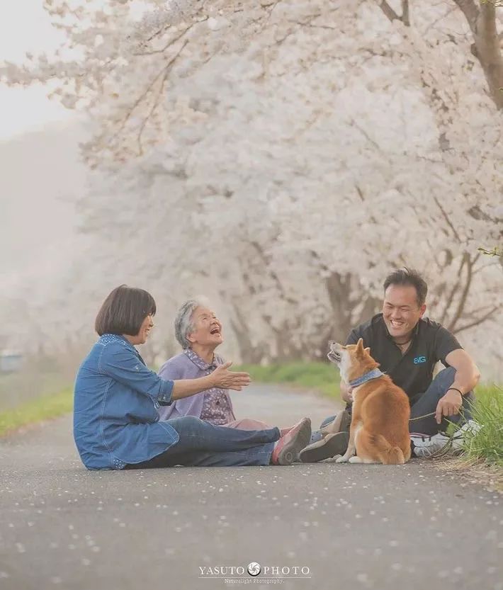 86 歲奶奶和柴犬共度餘生，一張圖片暖哭 34 萬網友，看完瞬間被治愈了… 未分類 第12張