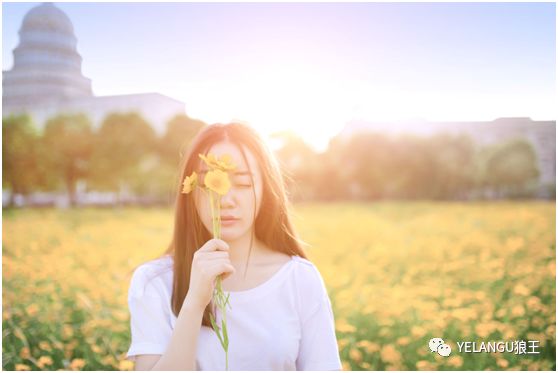 送给初学者的30个摄影技巧