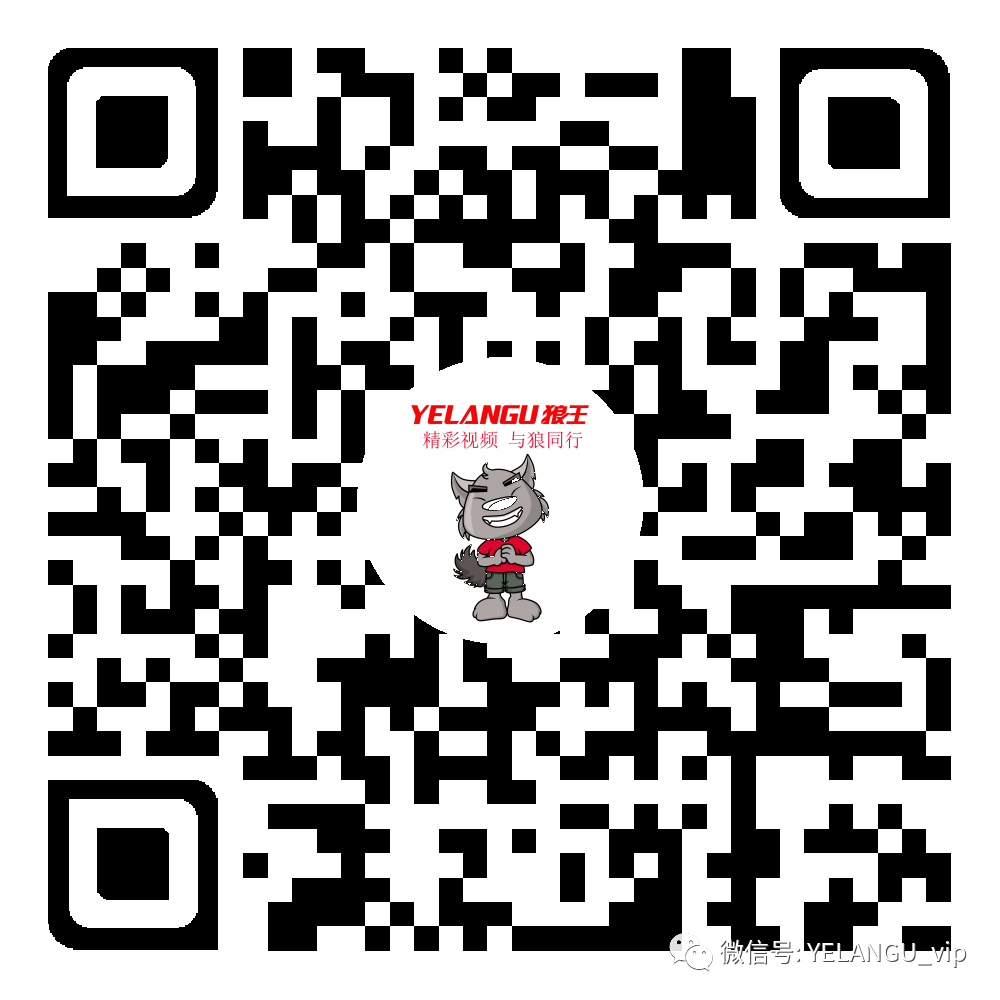 单反相机为什么要搭配兔笼使用？