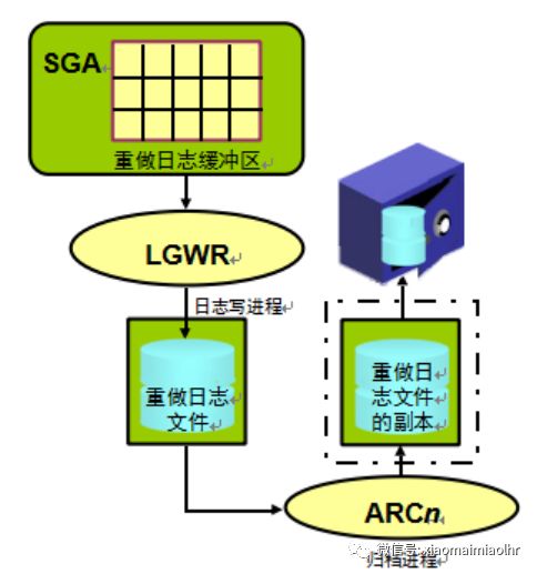 【OCP最新題庫解析(052)--題10】 Which two are true about the Archive (ARCn