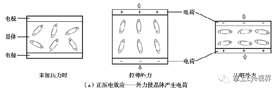 凸阵探头包括哪些超声基础 ｜ 探头的构造及工作原理_https://www.jmylbn.com_新闻资讯_第10张