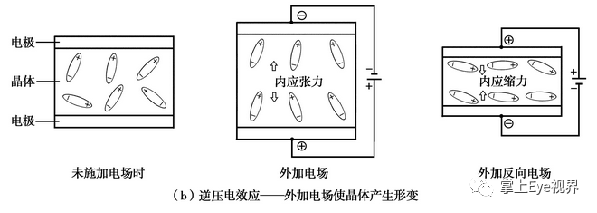 凸阵探头包括哪些超声基础 ｜ 探头的构造及工作原理_https://www.jmylbn.com_新闻资讯_第11张