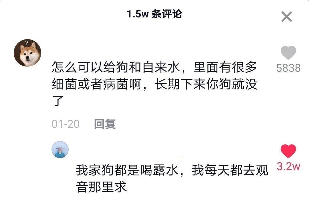 抖音神评论简直绝了！差点笑死在床上！