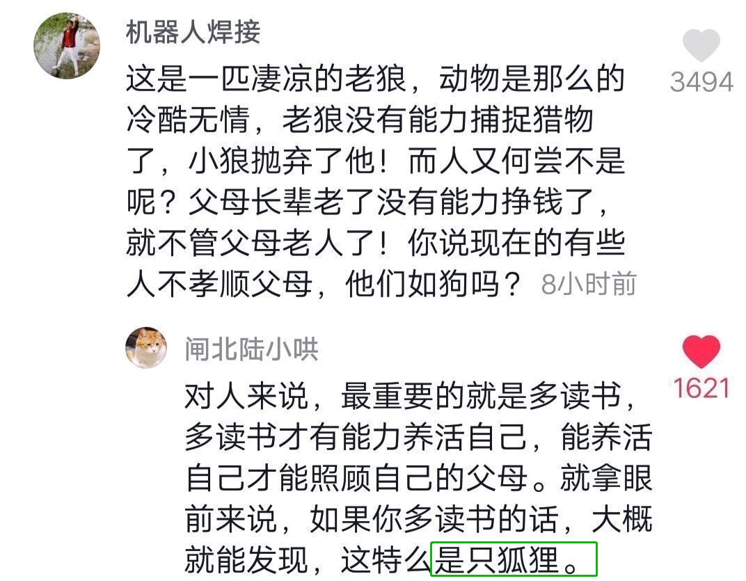 抖音神评论简直绝了！差点笑死在床上！