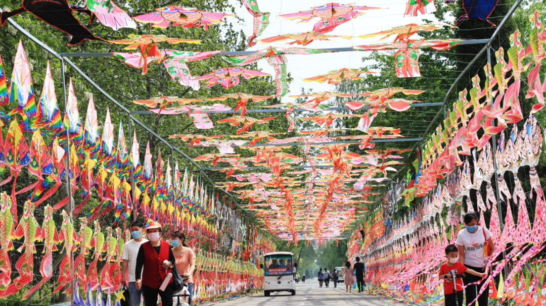 百米风筝长廊等你来打卡壮观的风筝阵卡通形象风筝各式各样的地插风筝