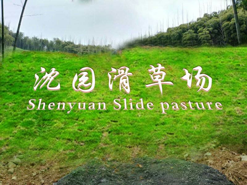 拓展基地,团建,公司团建,企业团建,拓展培训,拓展训练-启点拓展