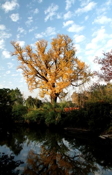 拓展基地,团建,公司团建,企业团建,拓展培训,拓展训练-启点拓展