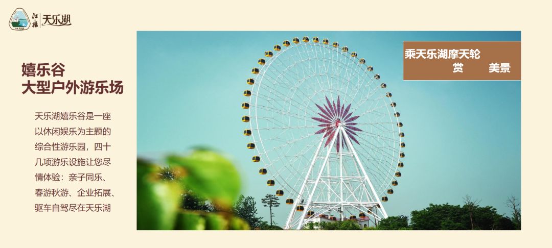 拓展基地,团建,公司团建,企业团建,拓展培训,拓展训练-启点拓展