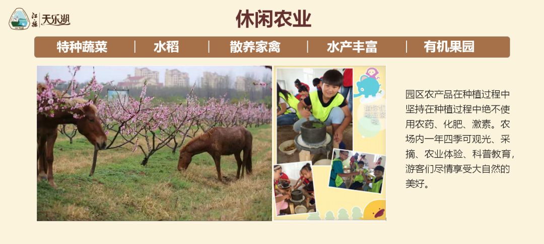 拓展基地,团建,公司团建,企业团建,拓展培训,拓展训练-启点拓展