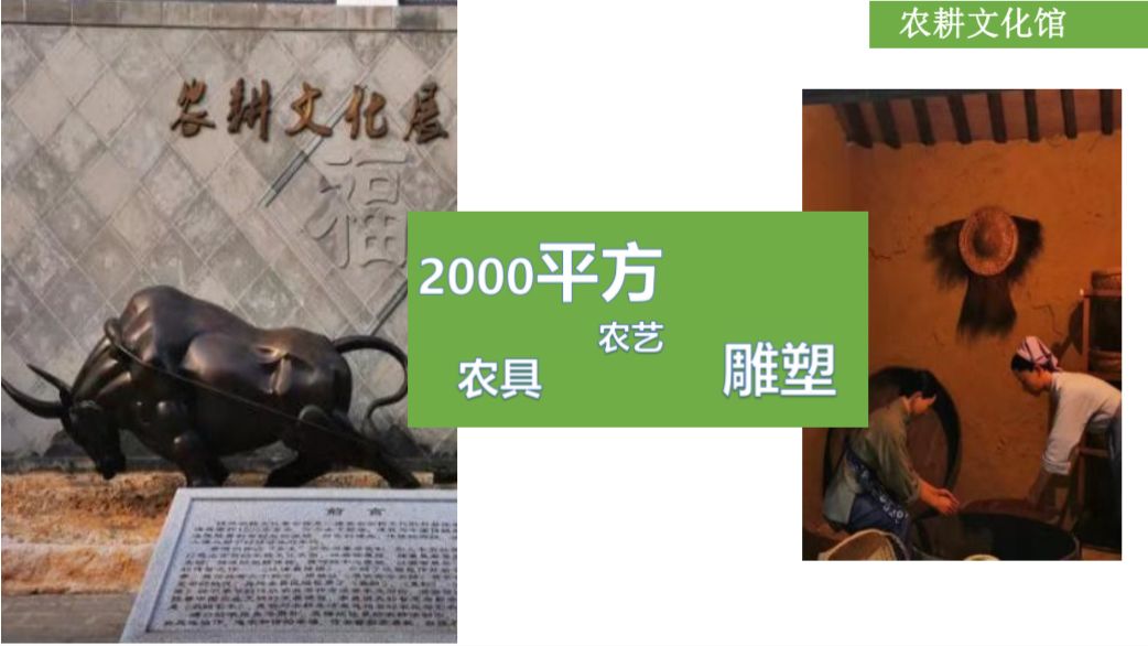 拓展基地,团建,公司团建,企业团建,拓展培训,拓展训练-启点拓展