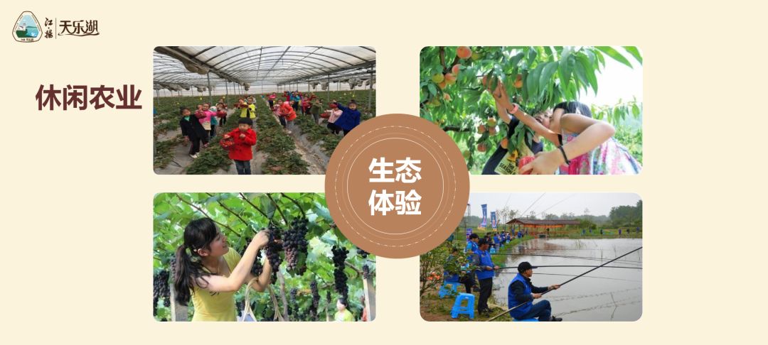 拓展基地,团建,公司团建,企业团建,拓展培训,拓展训练-启点拓展