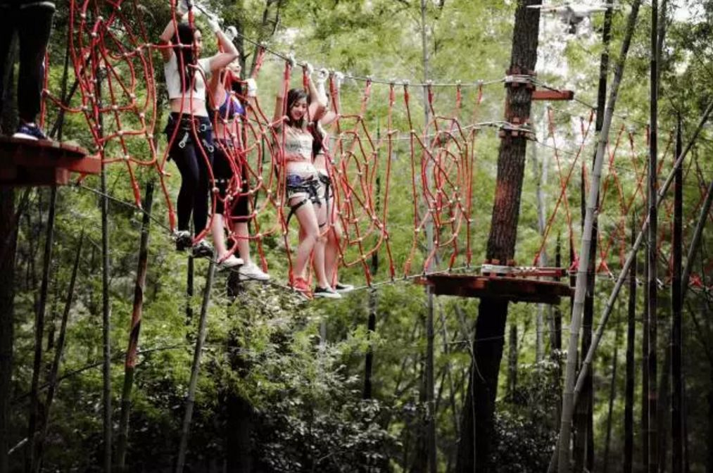 拓展基地,团建,公司团建,企业团建,拓展培训,拓展训练-启点拓展