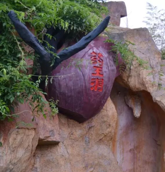 拓展基地,团建,公司团建,企业团建,拓展培训,拓展训练-启点拓展