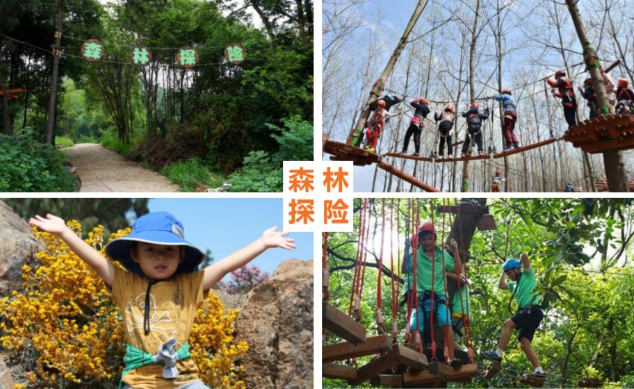 拓展基地,团建,公司团建,企业团建,拓展培训,拓展训练-启点拓展