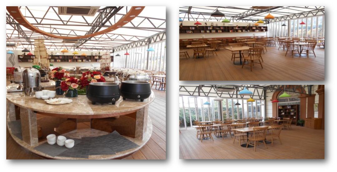 拓展基地,团建,公司团建,企业团建,拓展培训,拓展训练-启点拓展