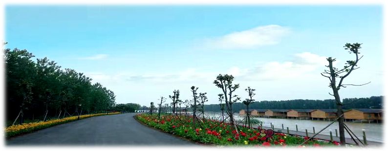 拓展基地,团建,公司团建,企业团建,拓展培训,拓展训练-启点拓展