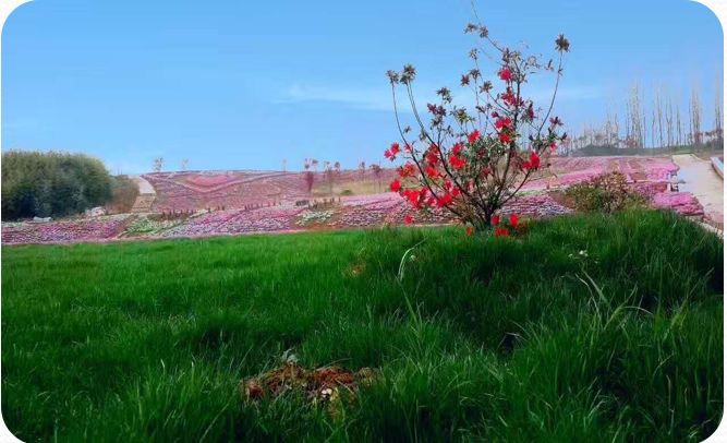 拓展基地,团建,公司团建,企业团建,拓展培训,拓展训练-启点拓展