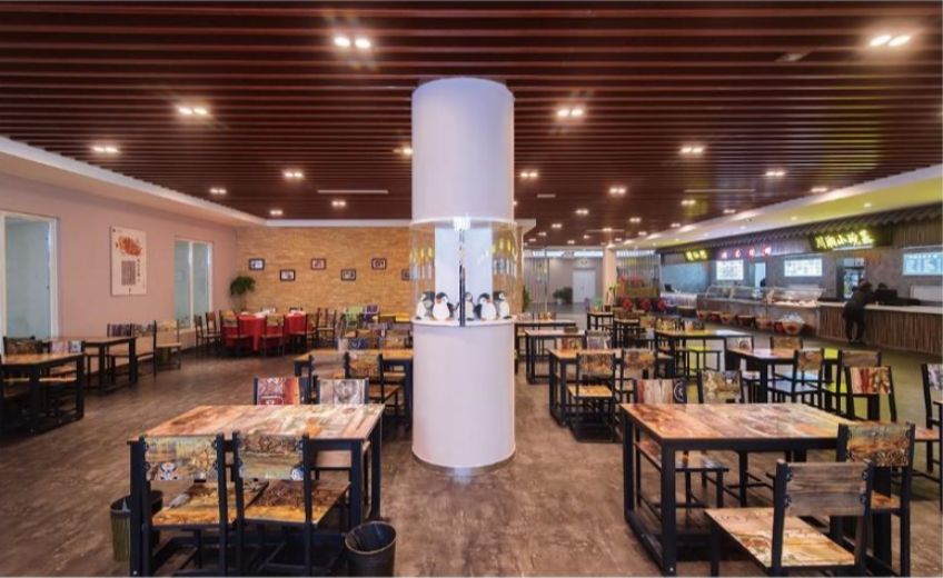 拓展基地,团建,公司团建,企业团建,拓展培训,拓展训练-启点拓展