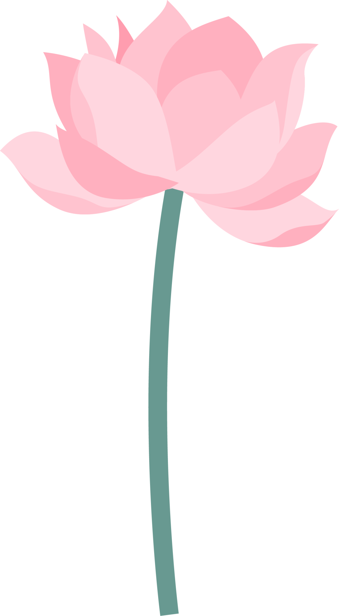 荷叶圆圆图片简笔画_荷叶圆圆图片素材_荷叶圆圆图片