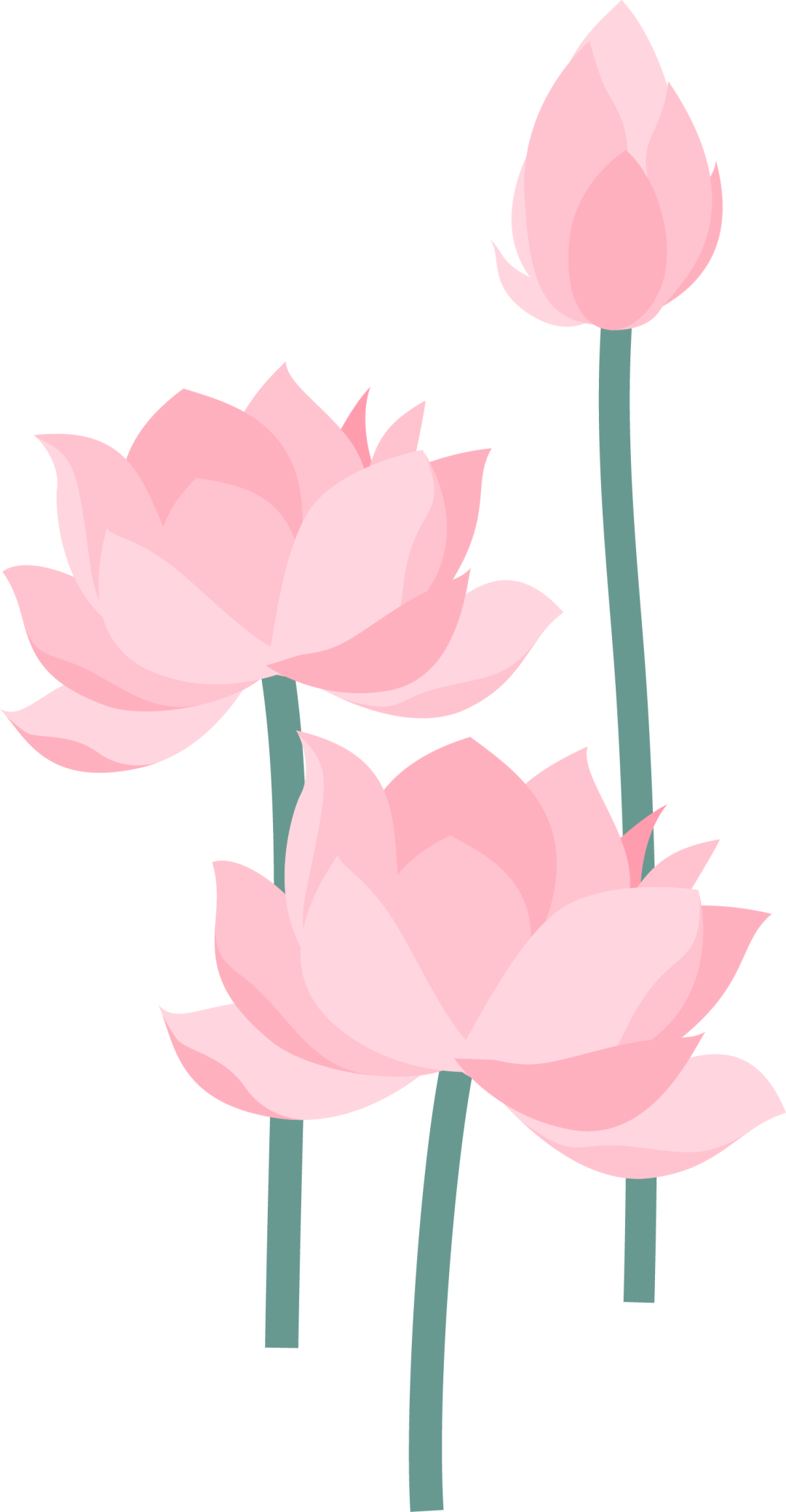 荷叶圆圆图片_荷叶圆圆图片素材_荷叶圆圆图片简笔画