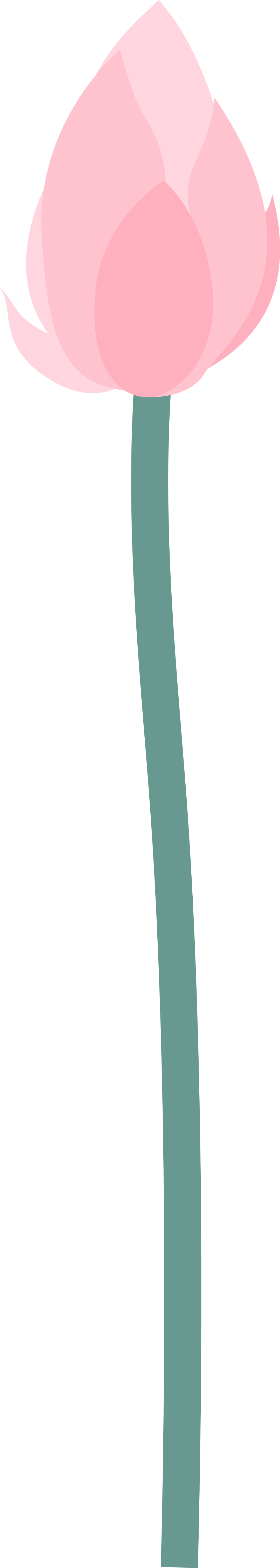 荷叶圆圆图片_荷叶圆圆图片简笔画_荷叶圆圆图片素材