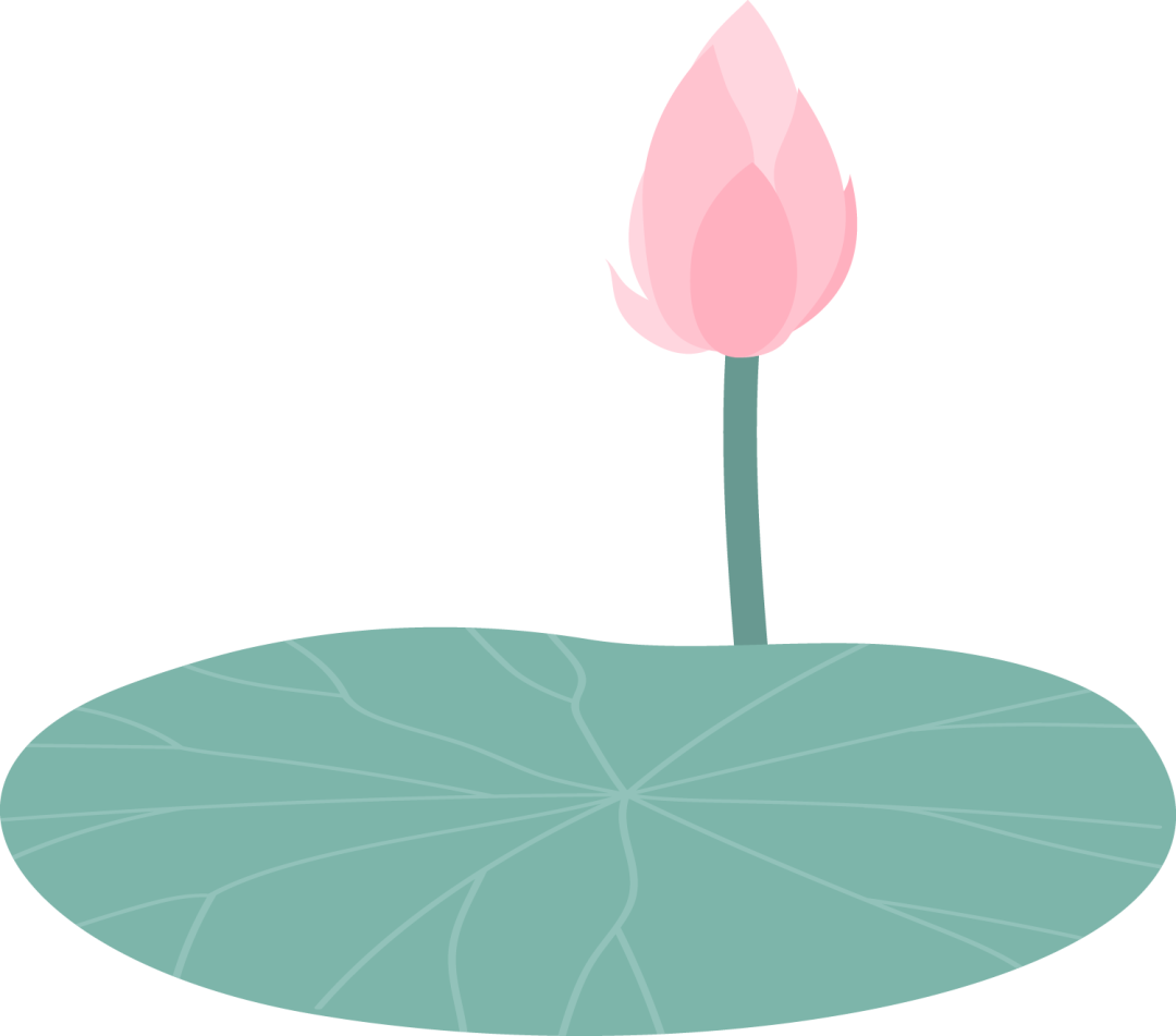 荷叶圆圆图片_荷叶圆圆图片素材_荷叶圆圆图片简笔画