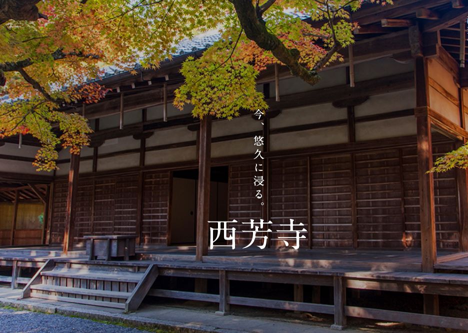 世界上 最难 参观的寺院 京都西芳寺 苔寺 细说日本健康管理 微信公众号文章阅读 Wemp