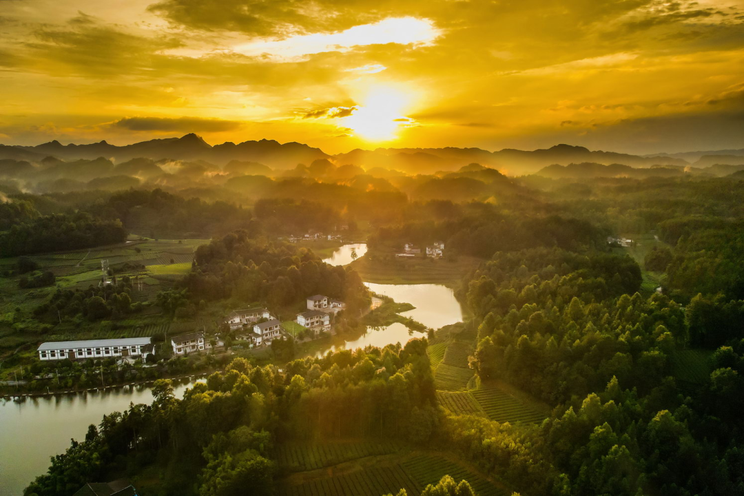 湄潭抄乐镇落花屯社区弘扬文明乡风描绘新时代和美乡村画卷