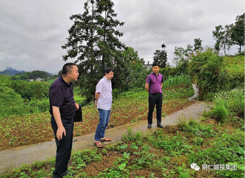 市城投集团公司总经济师蔡银新到帮扶村走访调研