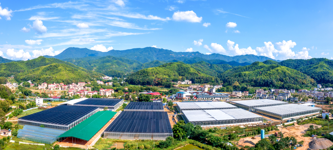 喜讯沙石镇火燃村党支部获评全省2021年度乡村振兴模范党组织