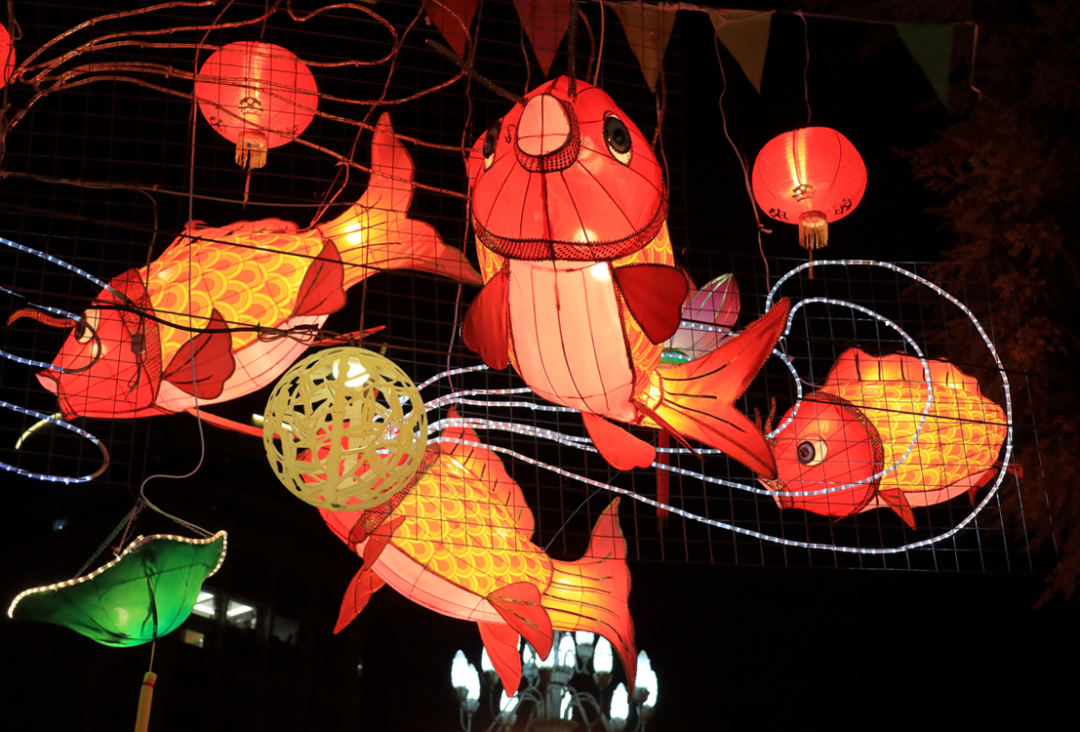 鱼灯闪烁!我在灯火阑珊处,把江门特有"元宵味"送给你