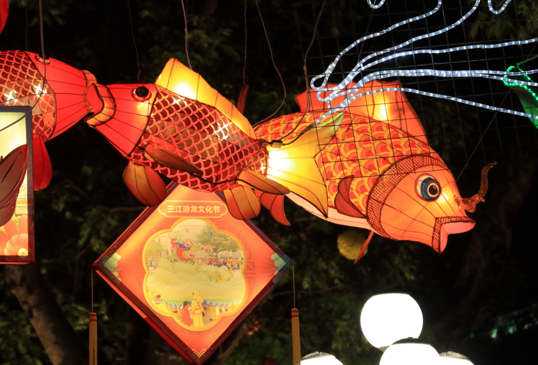 鱼灯闪烁!我在灯火阑珊处,把江门特有"元宵味"送给你