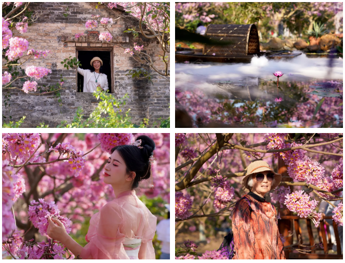 图源：最美大泽