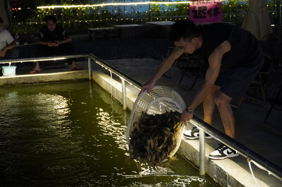 钓虾场负责人每天都要定时往虾池里放一批新虾。