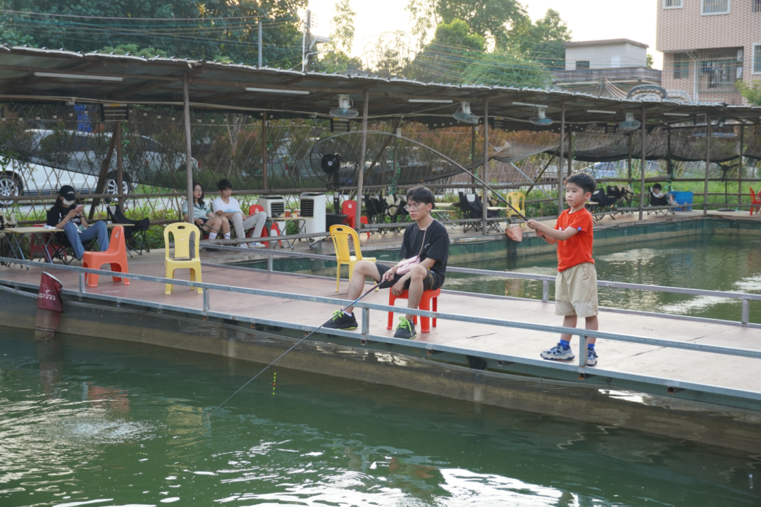 钓虾越来越受到消费者的欢迎。