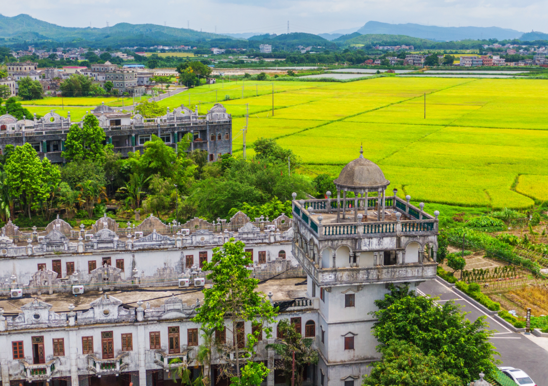 工作动态_江门市文化广电旅游体育局