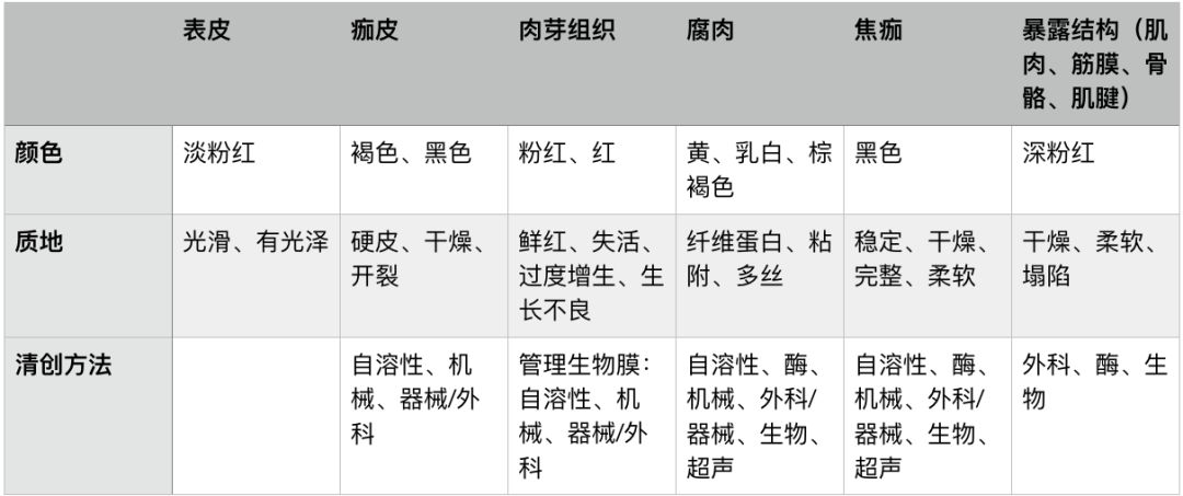 抗菌清创敷料有什么用基础知识：清创在伤口愈合中的重要作用_https://www.jmylbn.com_新闻资讯_第5张