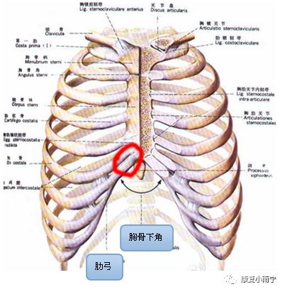 通过呼吸纠正肋外翻 长子县人民医院康复医学科 微信公众号文章阅读 Wemp