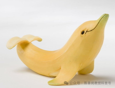 丁丁突然"弯了",会影响性功能吗?