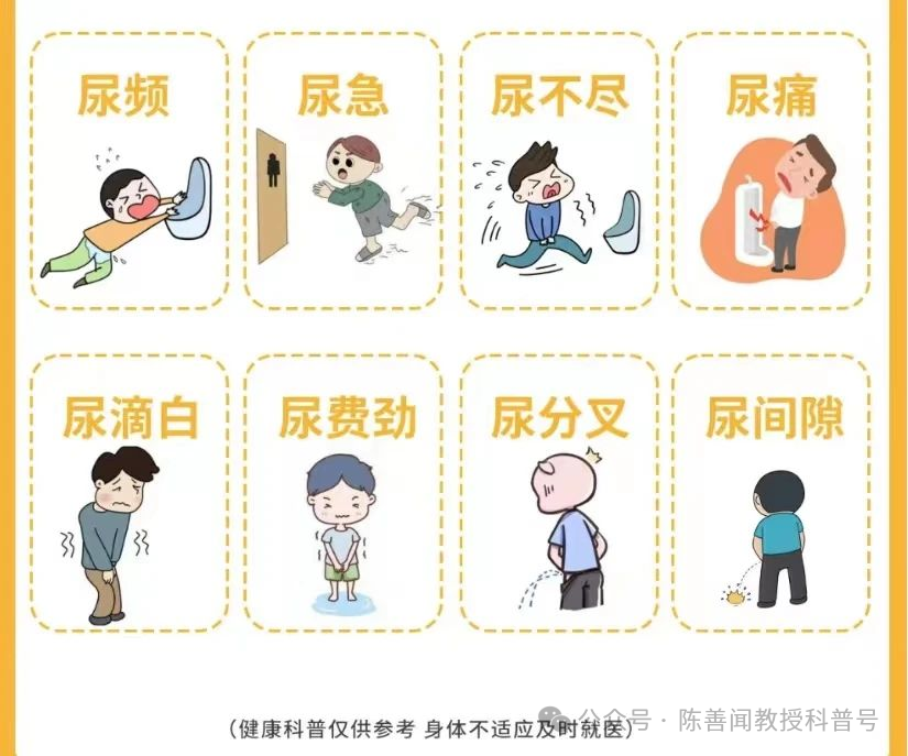 其局部疼痛不适症状,排尿障碍以及性生活质量下降是主要的临床表现