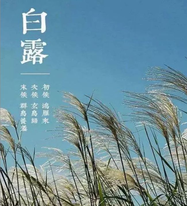 白露后为什么要喝茶？