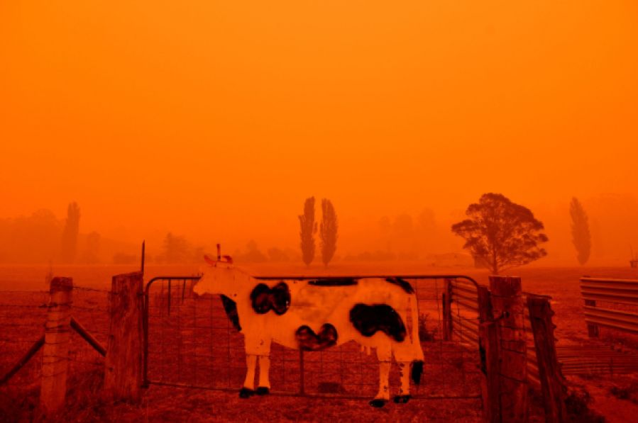 澳洲林火危机结束之日遥遥无期！ 降温降雨为灭火人员带来喘息机会