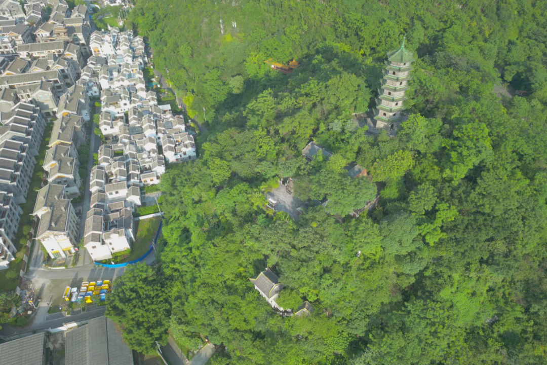 四问四答弄懂"鱼峰四普" - 鱼峰动态 - 广西柳州市鱼峰区人民政府门户