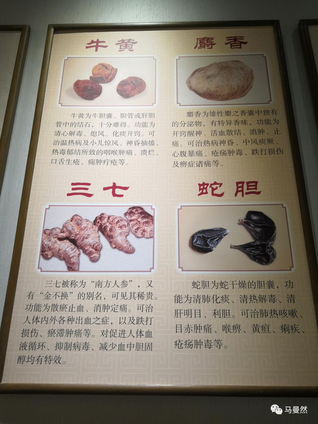 草根调研：国宝秘药之片仔癀、同仁堂、东阿阿胶部分终端调研（上）