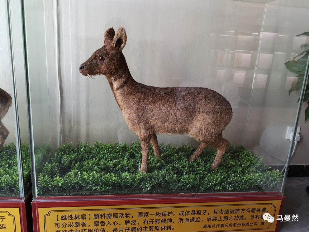 草根调研：国宝秘药之片仔癀、同仁堂、东阿阿胶部分终端调研（上）