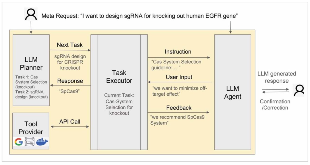 CRISPR-GPT规划、执行与反馈的智能体任务流程